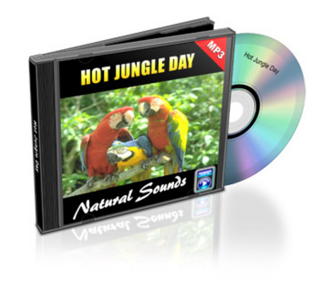 Product picture Hot Jungle Day - Natural Sounds with Mrr 