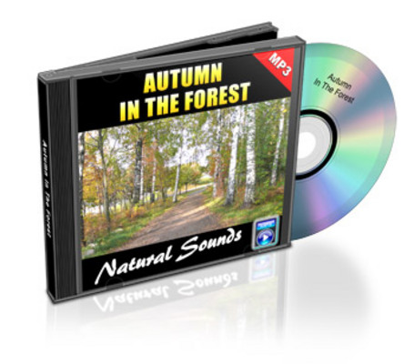 Product picture Autumn In The Forest  - Natural Sounds with Mrr 